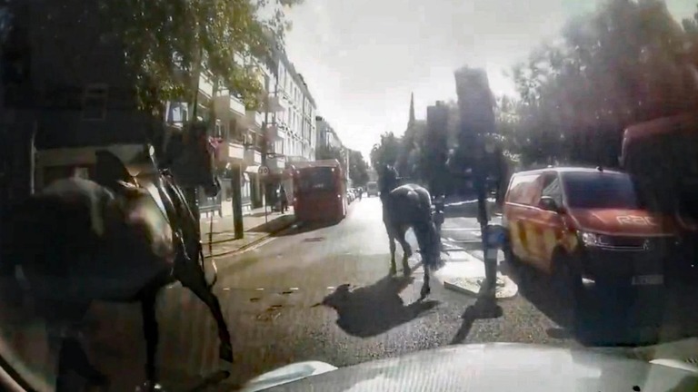 軍馬がまたロンドン市内を疾走、４月に続き３頭が脱走騒ぎ